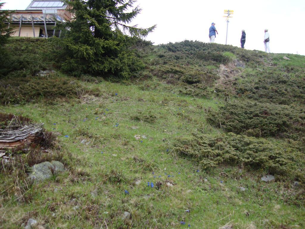 Haus Eder Burgi Hotel Nikolsdorf Bagian luar foto